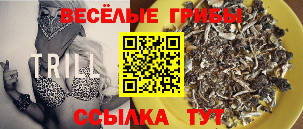 Псилоцибиновые грибы прущие грибы  Вход с VPN  Михайловск  Псилоцибиновые грибы Cubensis 