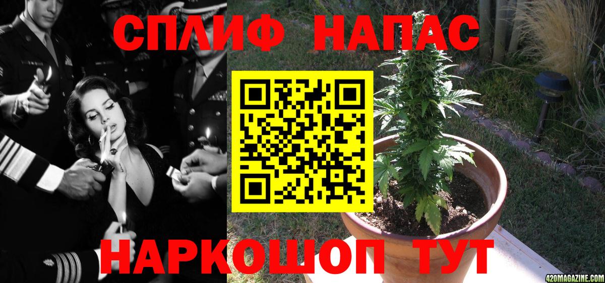 Каннабис LSD WEED  Каннабис тримм  Михайловск  Вход с VPN  Канабис марихуана  МАРИХУАНА OG Kush 